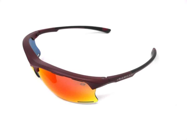 Gafas Addictive Ondara C2 Burdeos